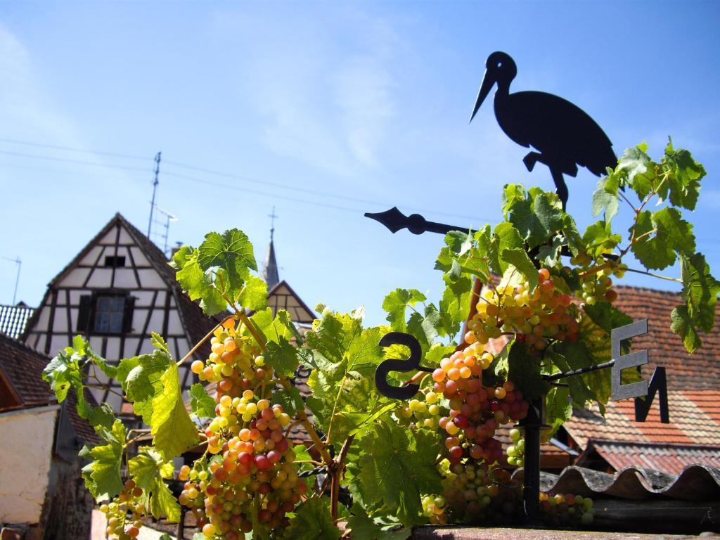 B&B Le Clos des Raisins Beblenheim Exterior foto