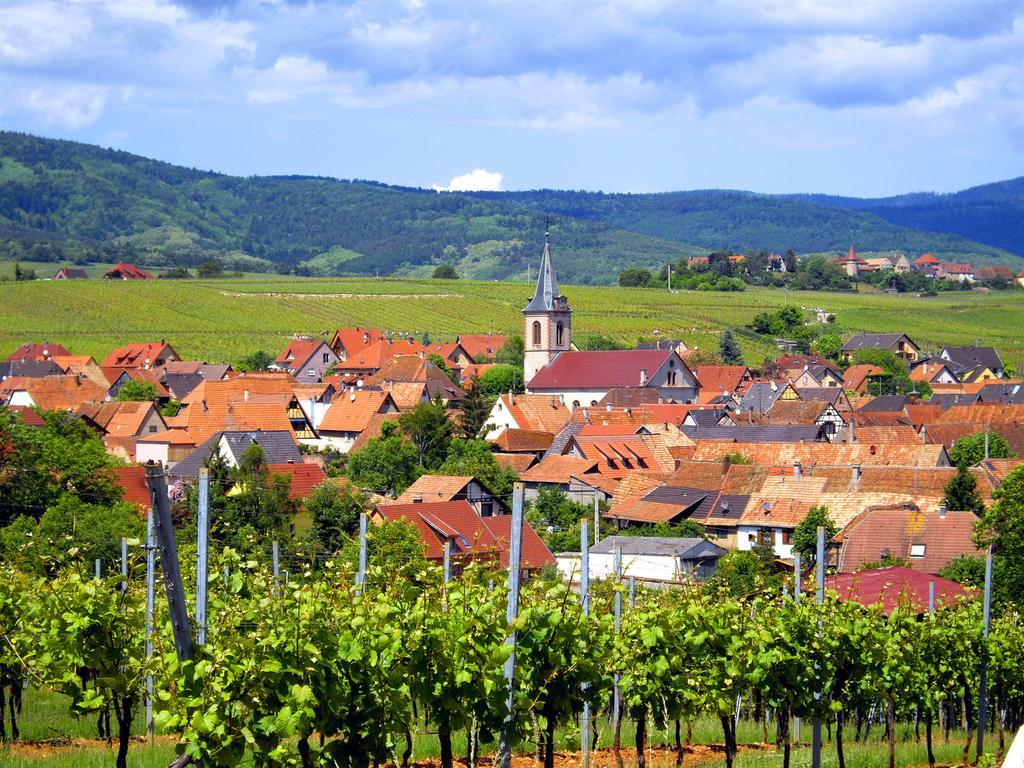 B&B Le Clos des Raisins Beblenheim Exterior foto